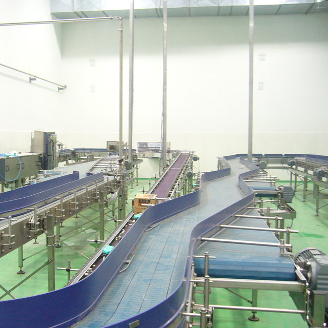 Conveyor System 